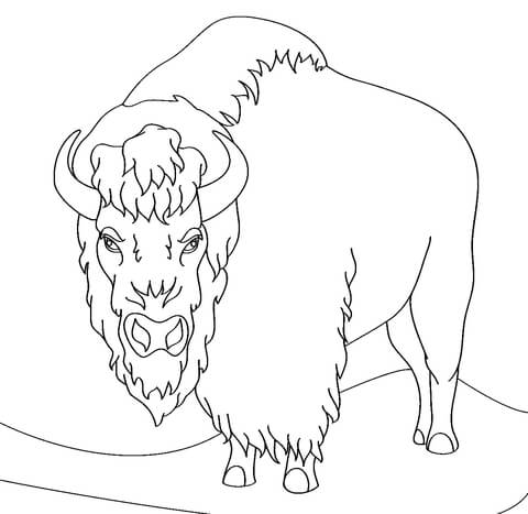 Angry Bison Coloring Page